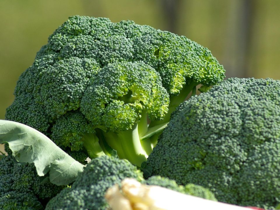 Brokkoli