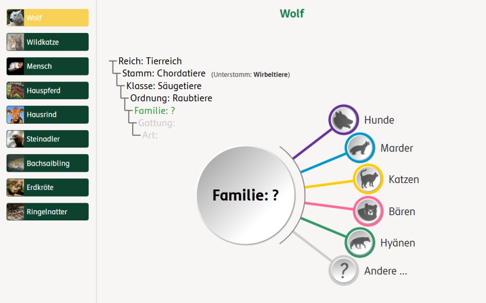 Screenshot: Systematik