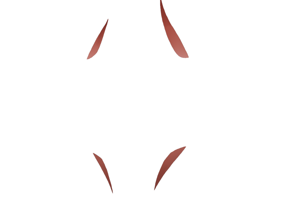 Gelenkinnenhaut