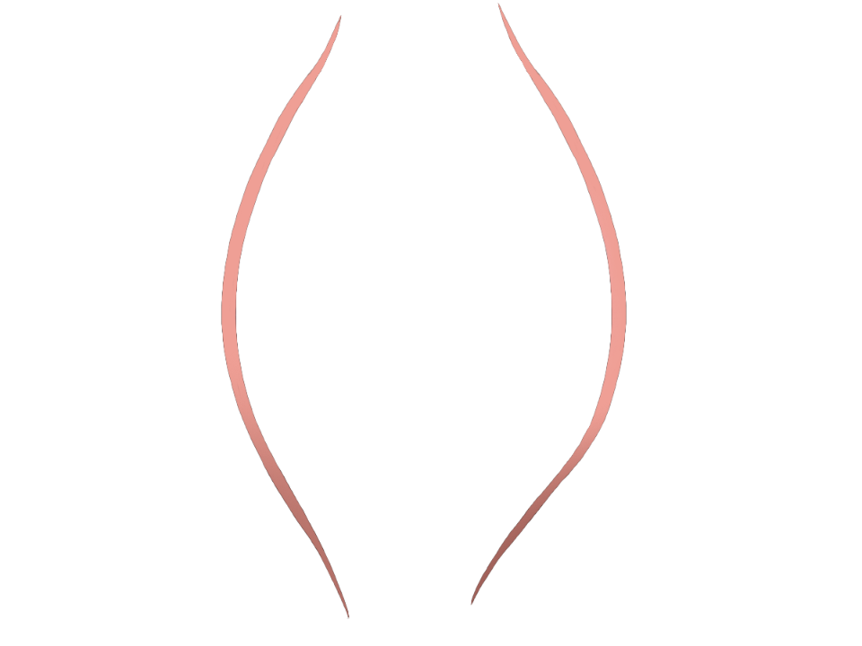 Gelenkkapsel