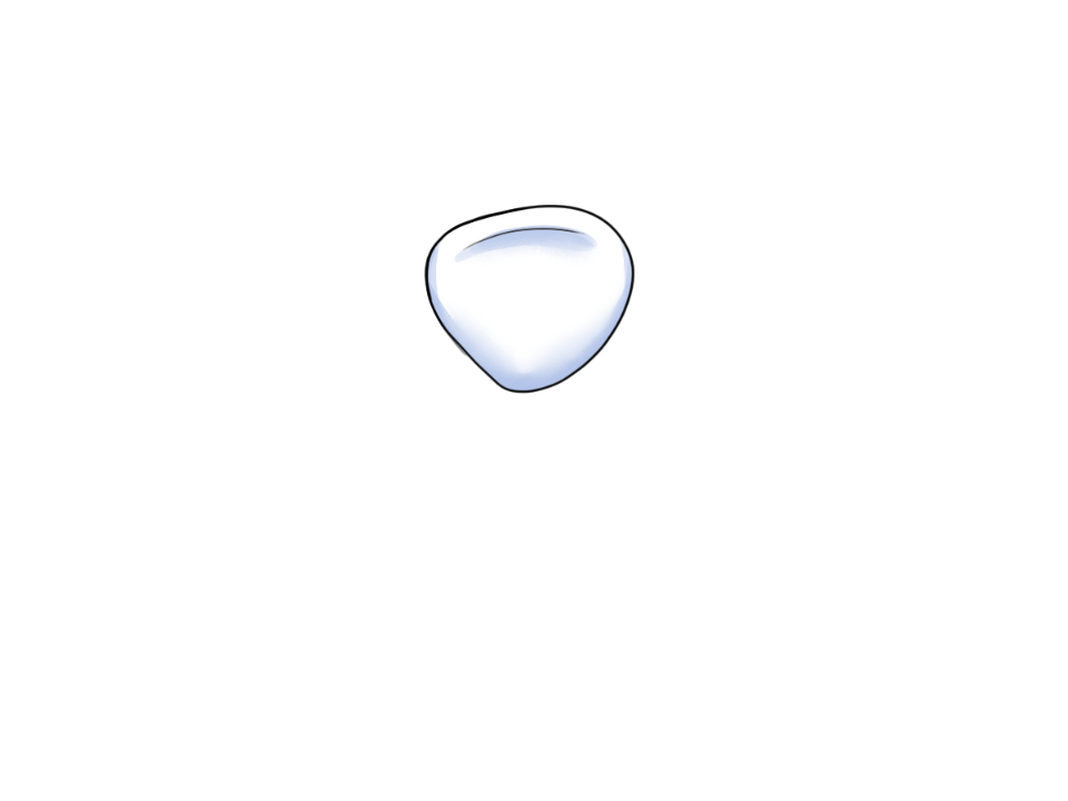 Kniescheibe