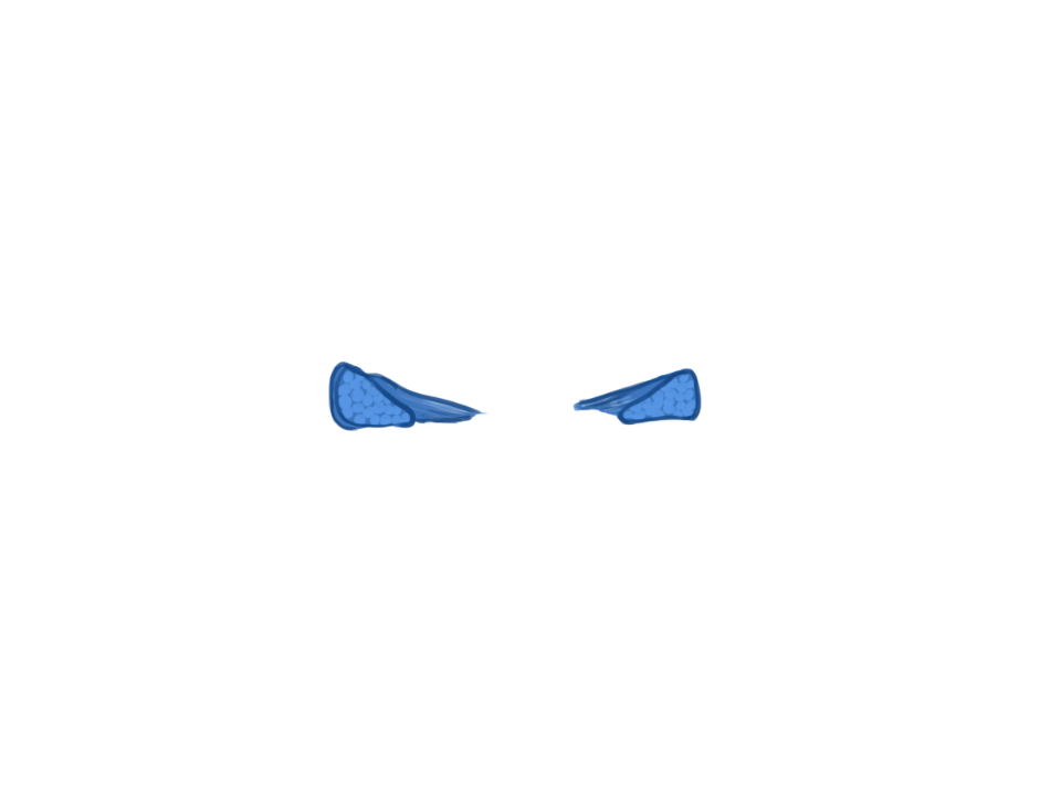 Menisken