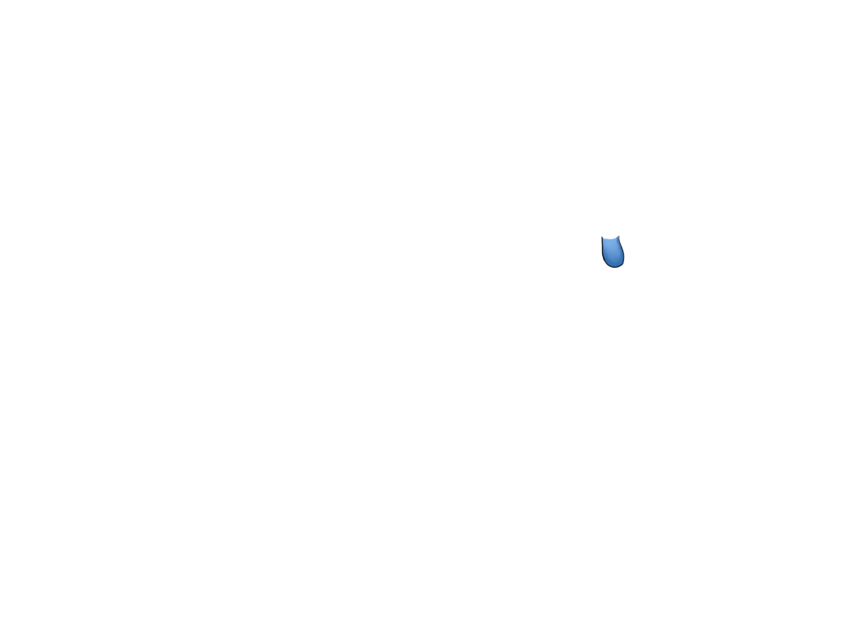 Blinddarm