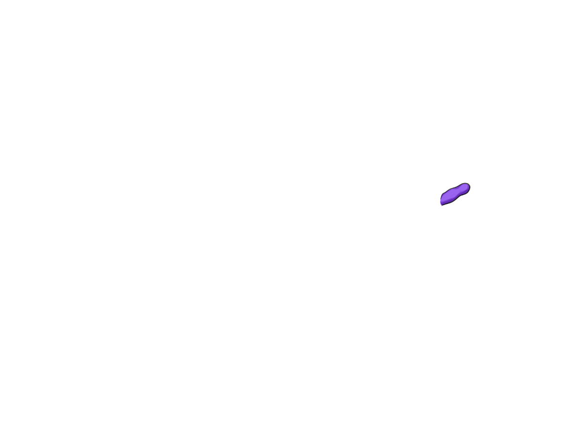 Blinddarm
