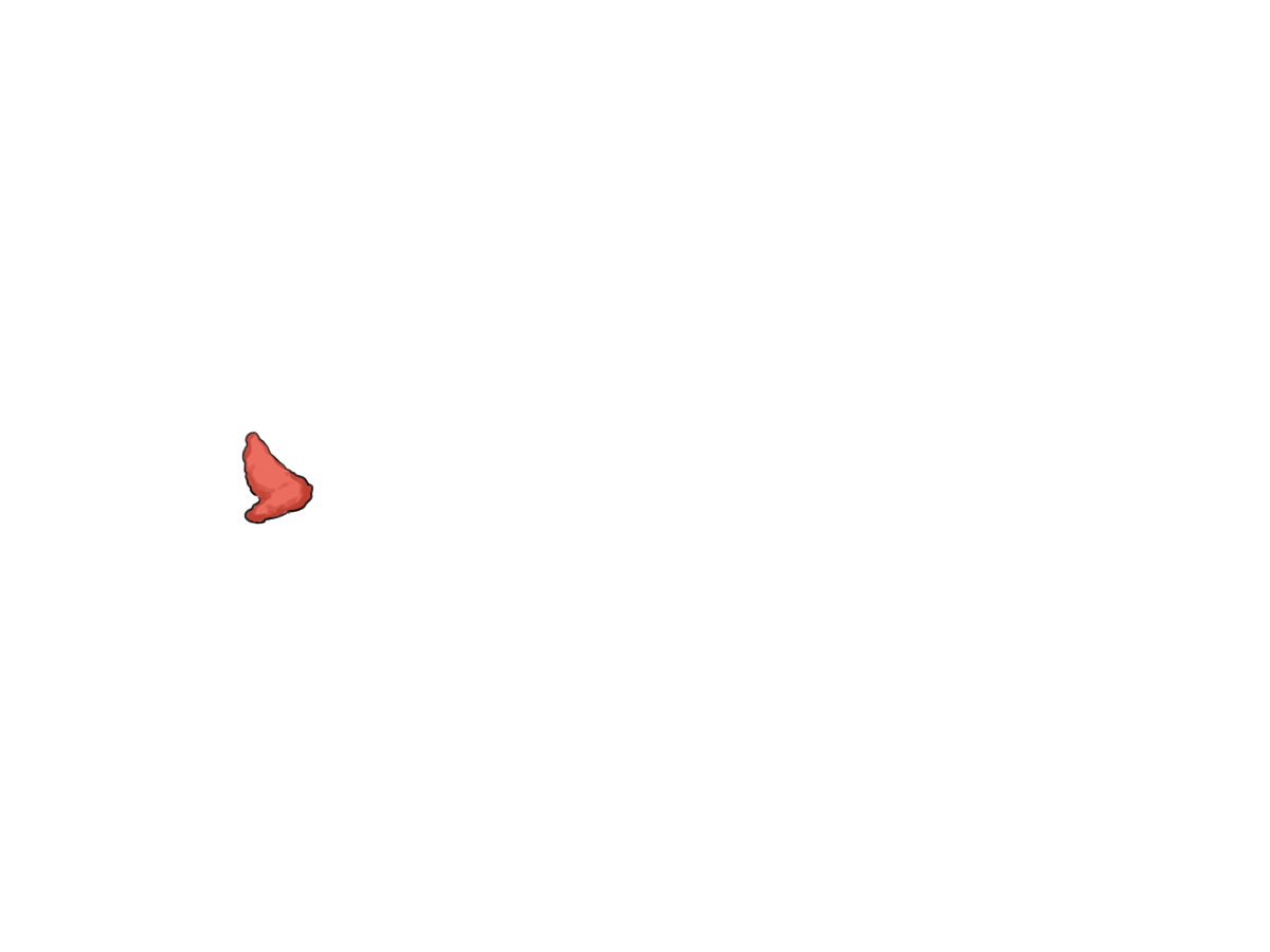 Speicheldrüse