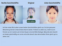 Popup: Gesichtshälften-Vergleich