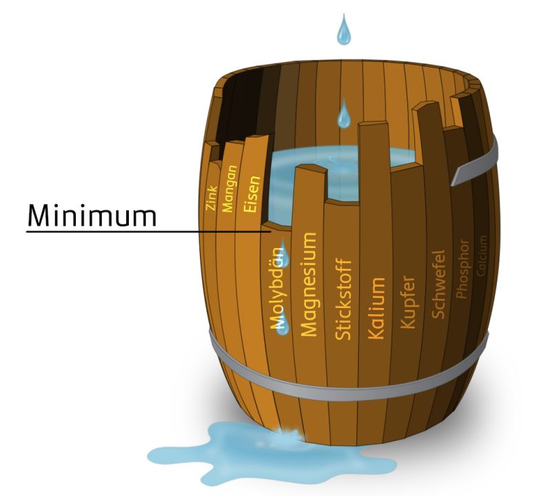 Veranschaulichung des Gesetz des Minimums