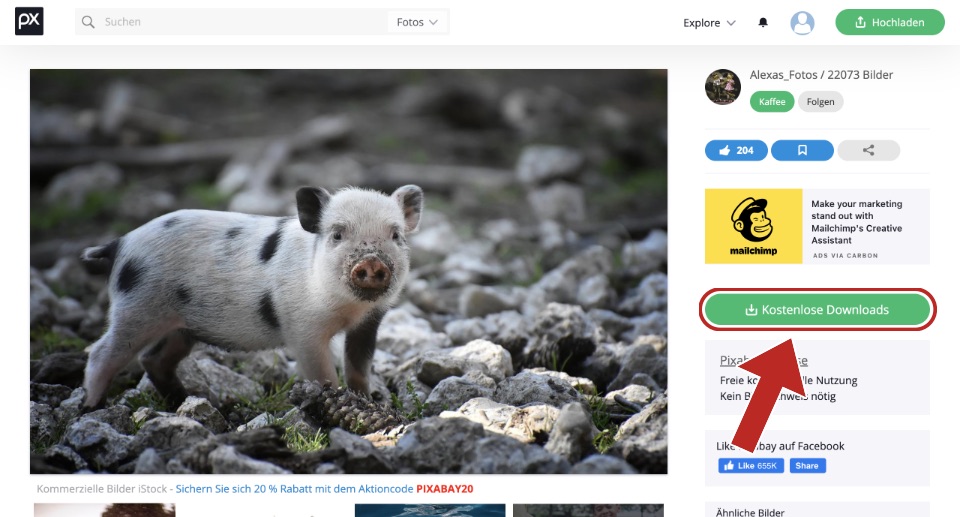 Screenshot der Pixabay Webseite