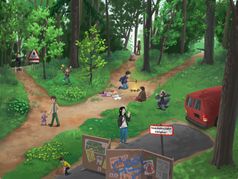 Popup: Verhaltensregeln im Wald
