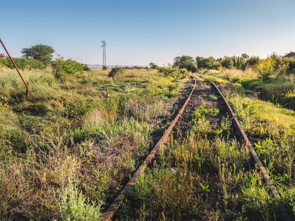 Verweißte und von grünen Pflanzen und Sträuchern
   zugewachsene Zugschiene, in einer begrünten Landschaft